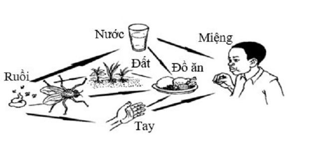 Bệnh lây qua đường tiêu hóa bạn nên lưu ý để tránh