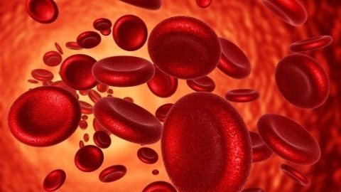 Thiếu máu do thiếu sắt ảnh hưởng tới cơ thể như thế nào?