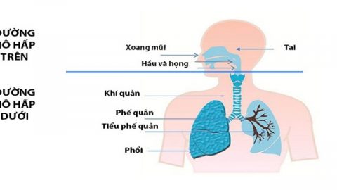 Nhiễm trùng đường hô hấp trên biểu hiện và điều trị thế nào?