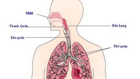 Biểu hiện của viêm đường hô hấp trên ở trẻ