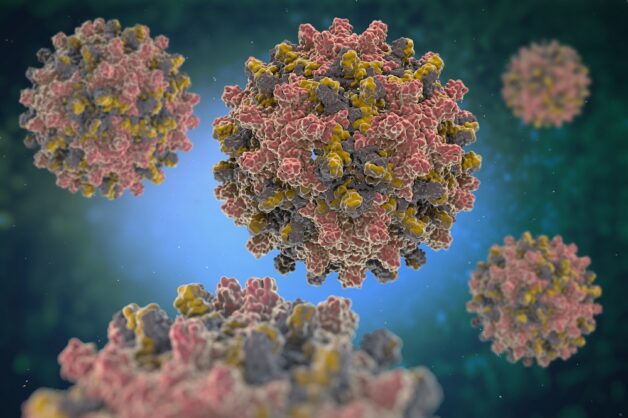Nguyên nhân phát sinh viêm gan B là virus viêm gan B hay virus HBV
