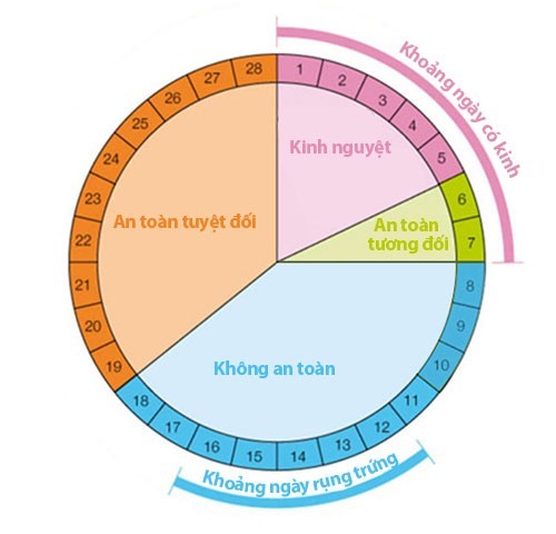 Cách tính chu kỳ rụng trứng của phụ nữ