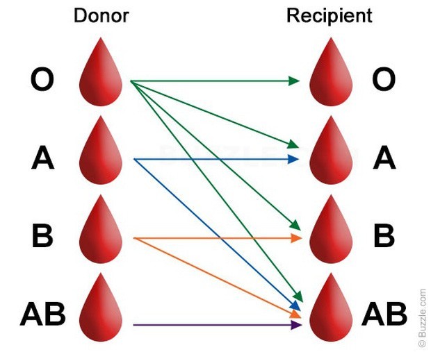 Nhóm máu O có liên quan đến khả năng chống lại bệnh nhiễm trùng hay không?
