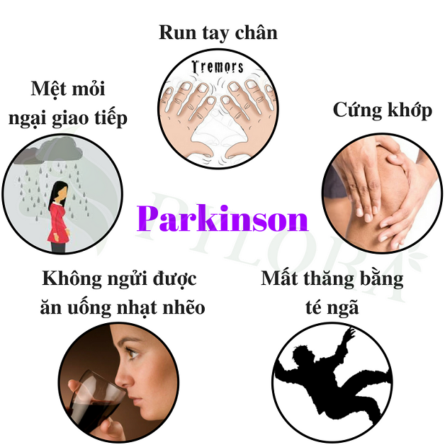 Các Nghiên Cứu và Tiến Bộ Mới Nhất về Bệnh Parkinson