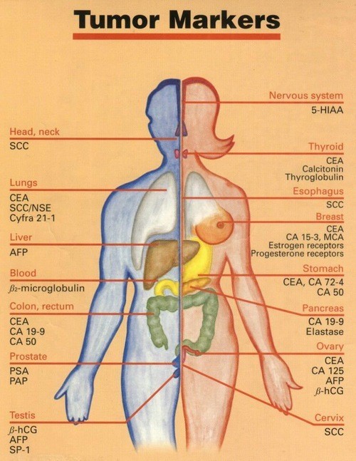 Các dấu ấn ung thư có thể giúp chẩn đoán, theo dõi điều trị và đánh giá khả năng tái phát sau điều trị của các bệnh ung thư