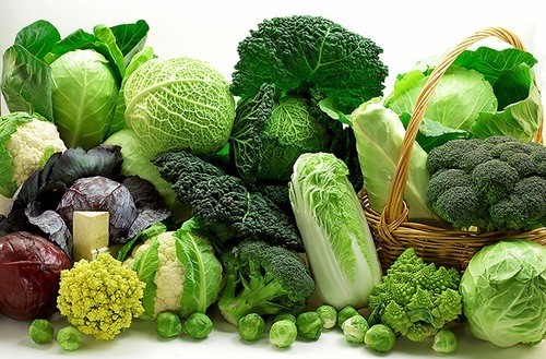 Ăn gì để tăng hồng cầu?