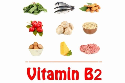 Các loại thực phẩm có chứa nhiều vitamin B9 là gì?
