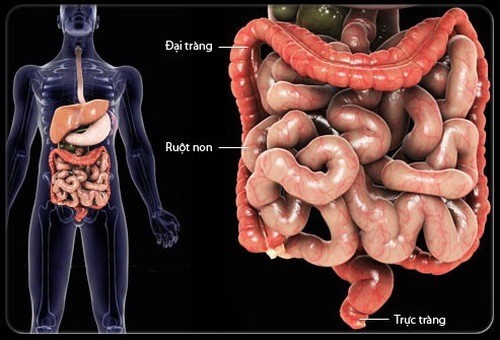Khi có triệu chứng táo bón kéo dài. đi ngoài ra máu, có thắt dạ dày cần thực hiện siêu âm kiểm tra đại tràng sớm