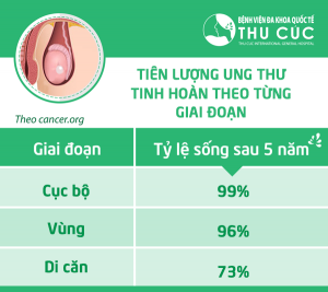 ung thư tinh hoàn sống được bao lâu?