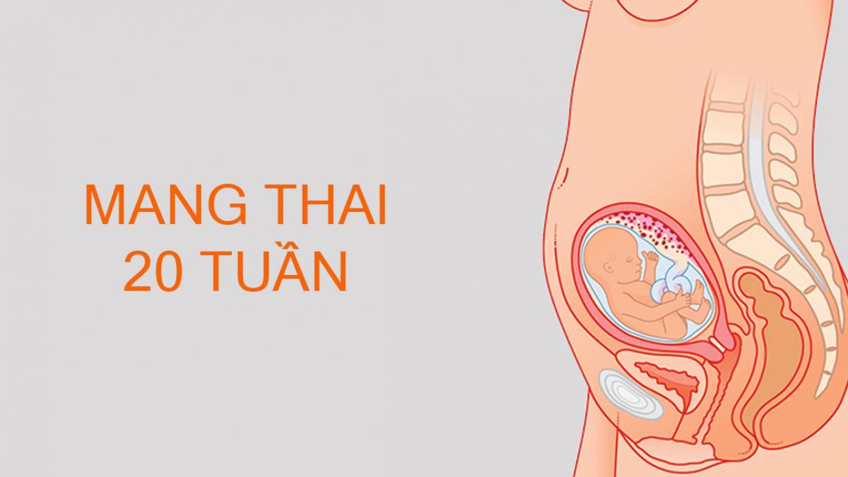 5. Cách chăm sóc mẹ bầu khi có bụng nhỏ ở tuần thai 20