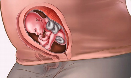 Cách tiến hành siêu âm hình thai vào tuần thứ 21-24 có khác so với các tuần trước đó không?