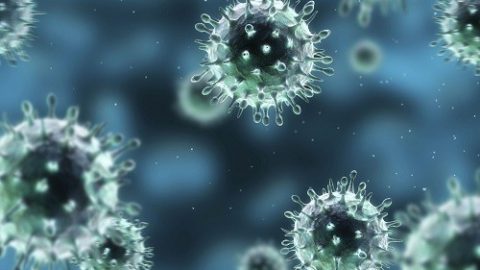 Cảnh báo nguy cơ mắc cúm A trong dịp Tết Nguyên đán