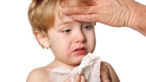 Những điều cần biết về bệnh cúm A