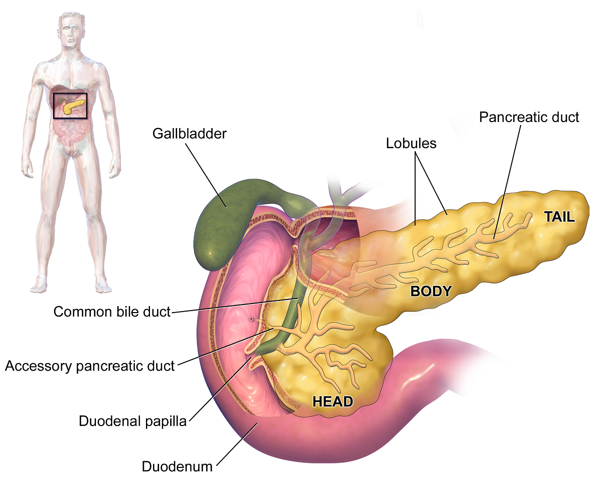 Sau phẫu thuật mổ u đầu tụy, bệnh nhân cần chăm sóc và phục hồi như thế nào?
