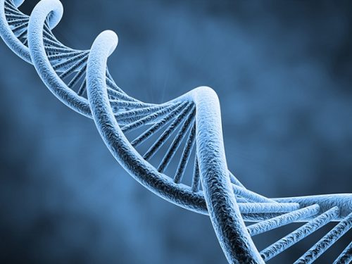 Tại sao có một số trường hợp ung thư dạ dày có liên quan đến di truyền?
