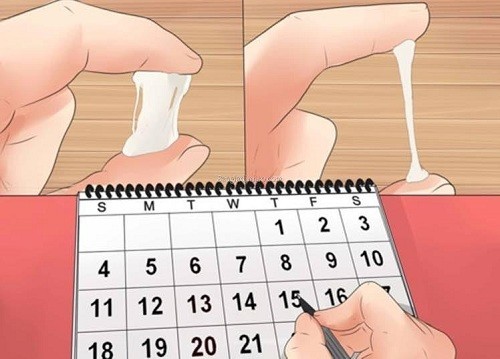 Có những sự thay đổi có thể nhận biết được dấu hiệu cơ thể đang rụng trứng