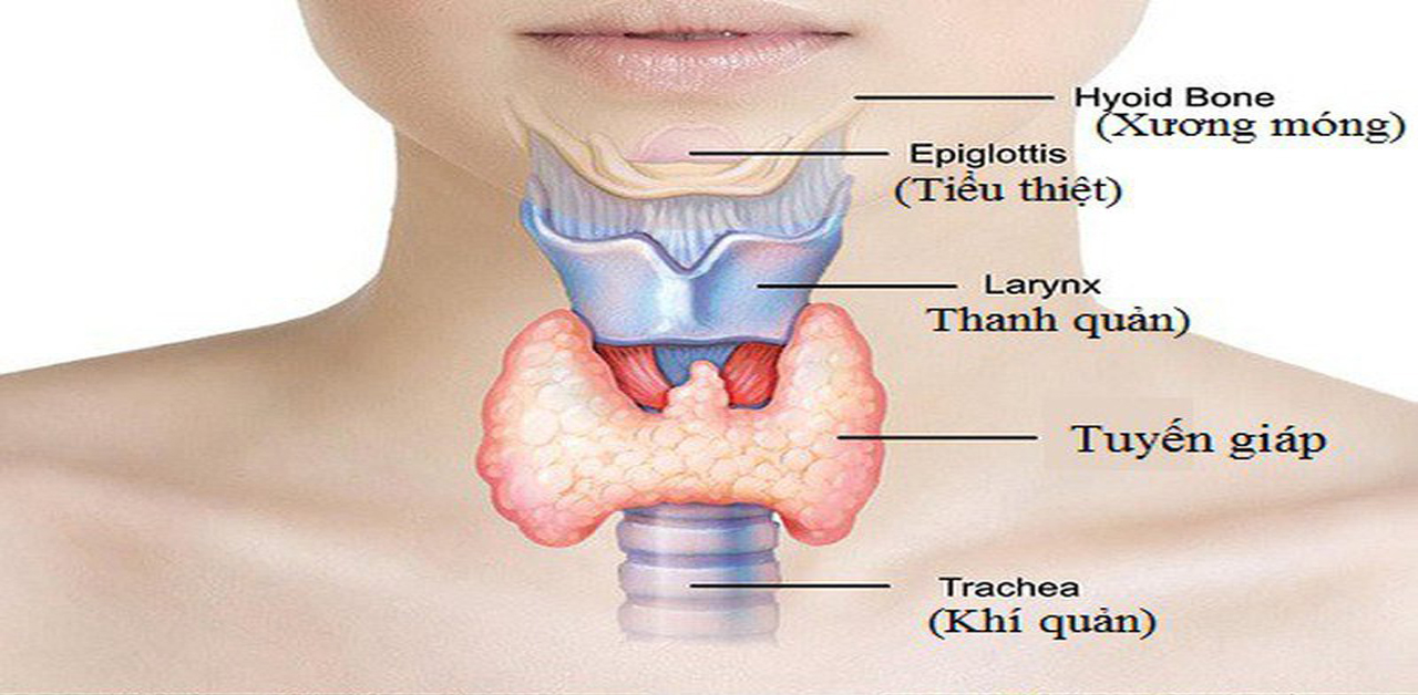 Quy trình khám tuyến giáp bao gồm những bước nào?
