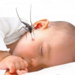 Giúp mẹ hiểu hơn về bệnh sốt xuất huyết ở trẻ em