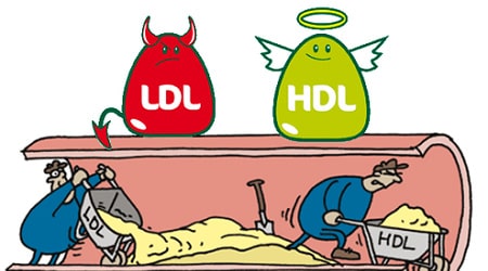 Cách giảm LDL cholesterol trong máu hiệu quả khi nào | TCI Hospital
