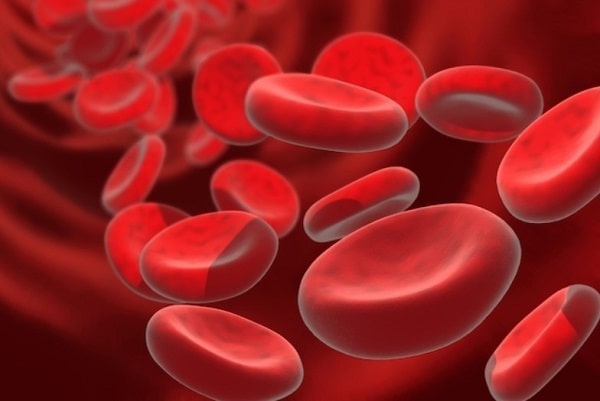 Suy giảm hồng cầu có thể dẫn đến những triệu chứng gì?
