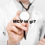 MCV là gì? Chỉ số xét nghiệm máu MCV bất thường