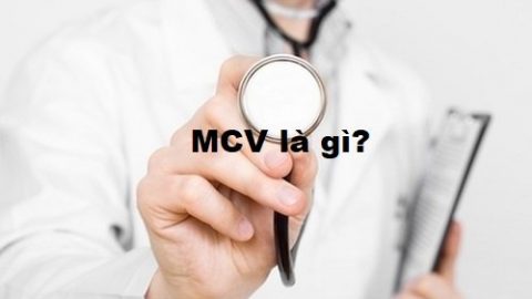 xét nghiệm công thức máu là gì