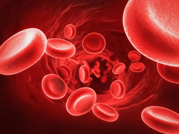 Làm thế nào để kiểm tra mức độ RBC trong máu? 
