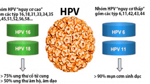 Điều trị HPV như thế nào? có ung thư cổ tử cung