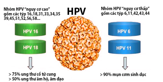 Những biện pháp phòng ngừa nào được khuyến nghị để ngăn chặn sự lây lan của HPV 16?
