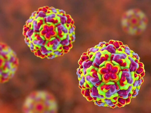 Rhinovirus gây viêm tiểu phế quản ở trẻ