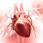 Bệnh hở van tim và những điều bạn cần phải biết