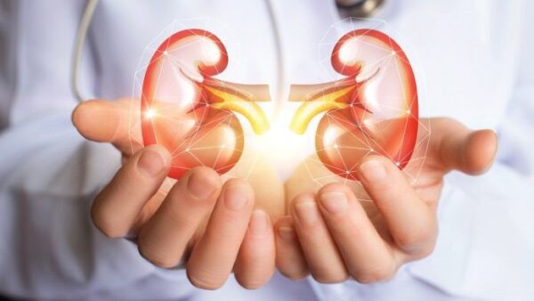 Suy thận nhẹ có thể điều trị được dựa vào phác đồ của bác sĩ kết hợp chế độ sinh hoạt lành mạnh