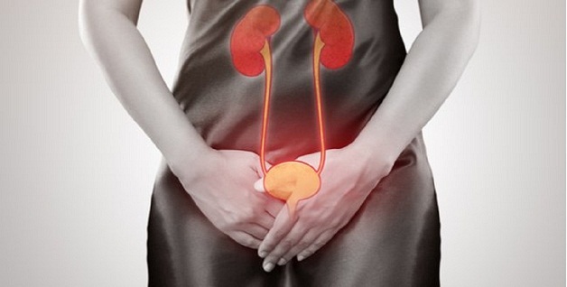 Viêm đường tiết niệu có gây vô sinh hay không là vấn đề khiến nhiều người bệnh lo lắng.