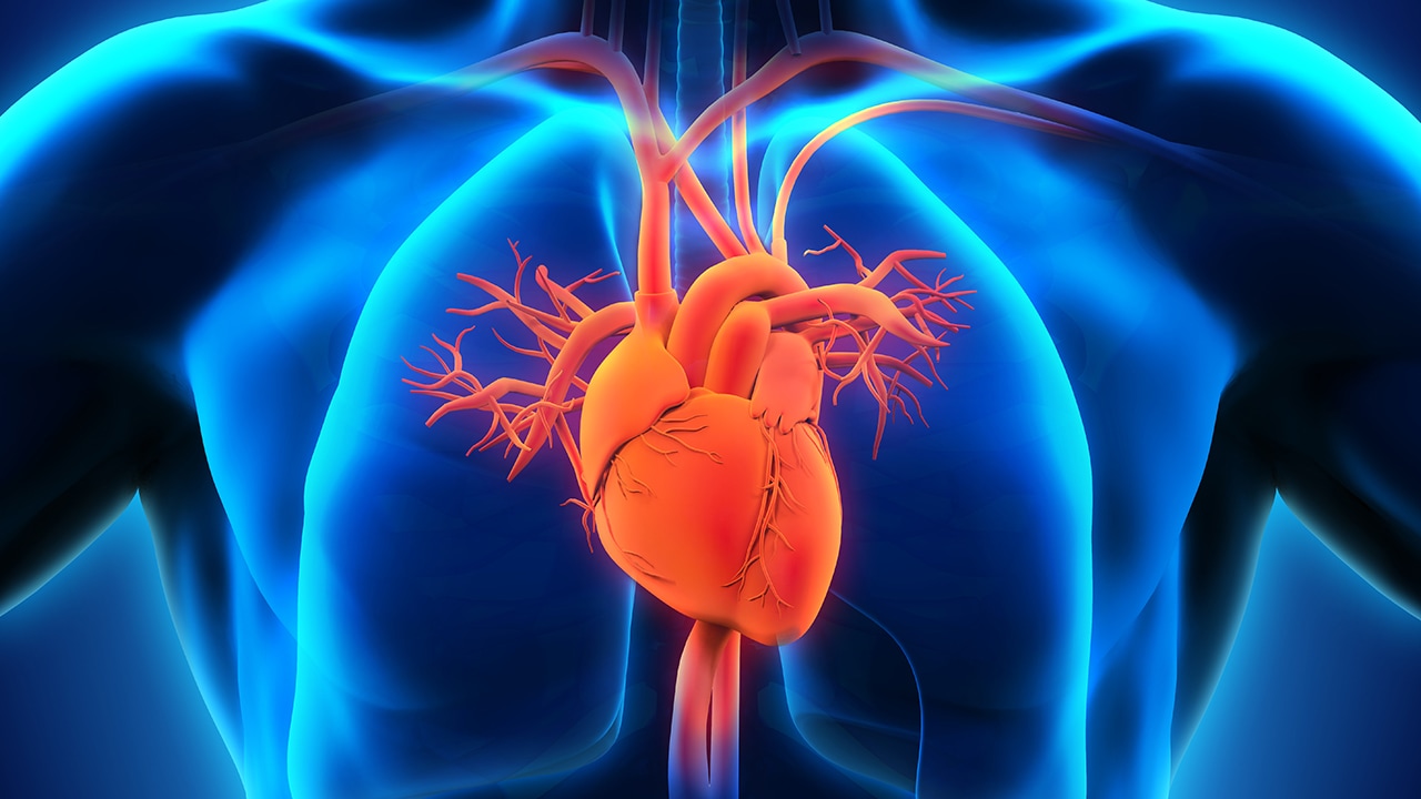 Các tác động của xơ vữa mạch máu đến Mạch LAD và hệ thống tim mạch.
