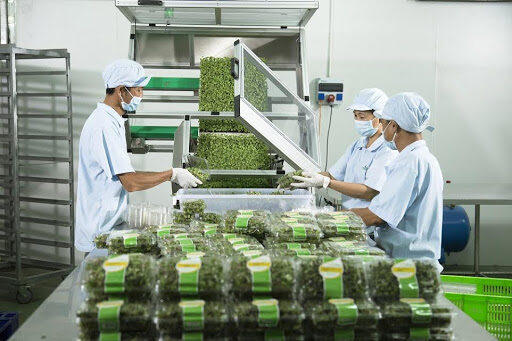 Khám sức khỏe vệ sinh an toàn thực phẩm như thế nào
