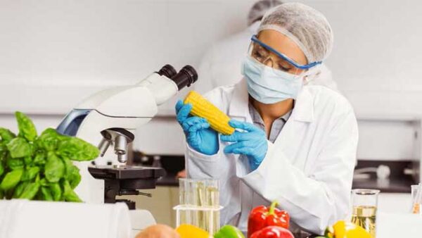 Khám sức khỏe vệ sinh an toàn thực phẩm ở đâu