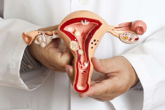Các chị em phụ nữ đã biết thông vòi trứng như thế nào? | TCI Hospital