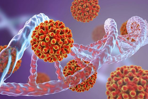 Viêm gan B là một căn bệnh truyền nhiễm nguy hiểm do virus HBV gây ra, bệnh có thể tự khỏi trong vòng 6 tháng, nhưng cũng có thể đi theo bệnh nhân suốt đời