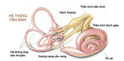 chứng rối loạn tiền đình
