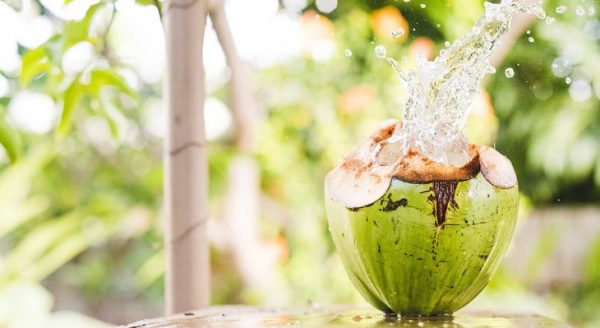 Người bị đau dạ dày uống nước dừa được không? Bạn nên sử dụng 3-4 quả dừa/ tuần để mang lại kết quả tích cực nhất