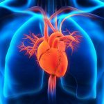 Hở van tim 1/4 là mức độ nào của bệnh? Có nguy hiểm không?