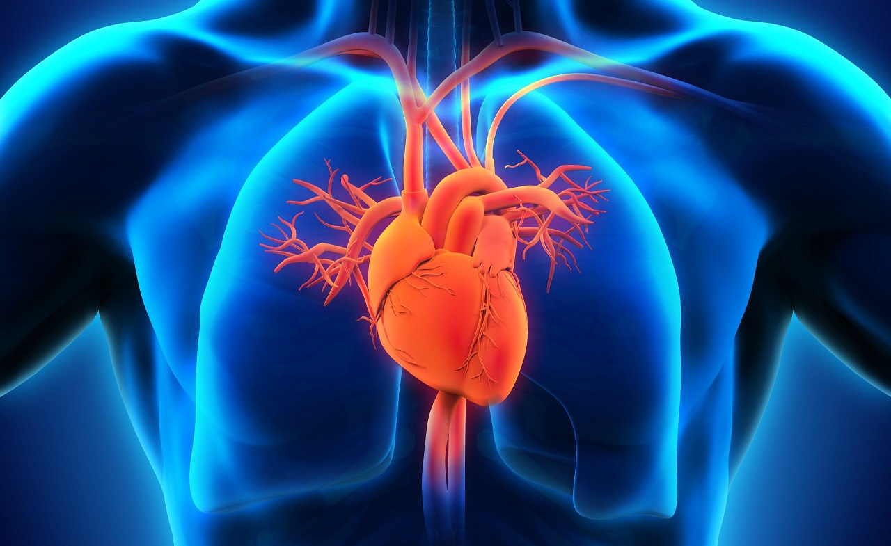Tìm hiểu về hở 1/4 van tim và những biện pháp phòng ngừa