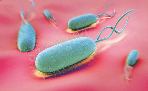 Tầm Quan Trọng Của Kiểm Tra và Giám Sát Tình Trạng H.pylori