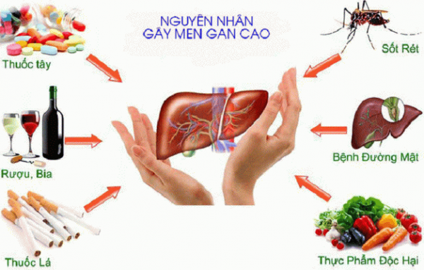 thăm khám với bác sĩ chuyên khoa là cách tốt nhất và duy nhất để tầm soát và ngăn chặn sớm, hiệu quả các vấn đề do men gan cao.
