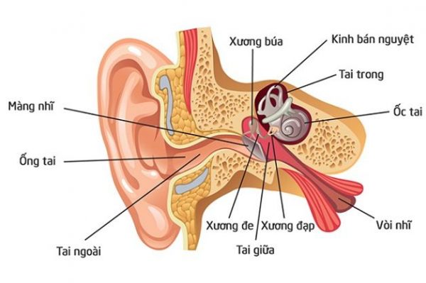 7. Biến chứng của viêm tai ngoài có mủ