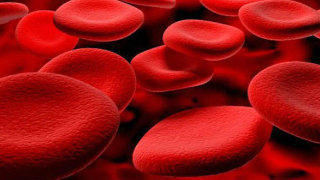 Cách phòng ngừa bệnh tan máu bẩm sinh ở trẻ em?
