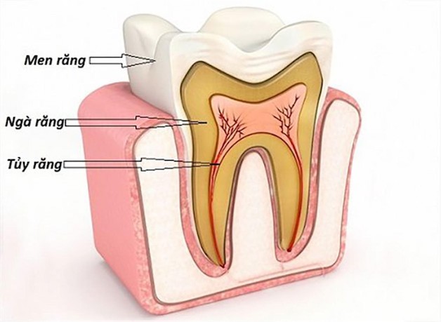 5. Địa chỉ nha khoa uy tín để điều trị tủy răng khôn