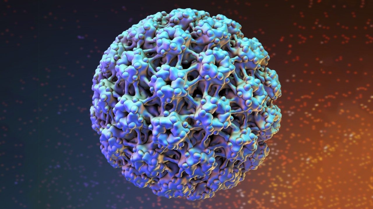 Virus HPV có liên quan đến ung thư cổ tử cung và ung thư âm đạo không?
