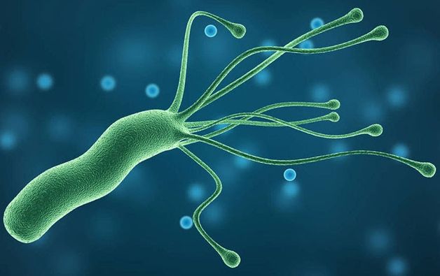 xét nghiệm H.pylori IgG dương tính có ý nghĩa thế nào