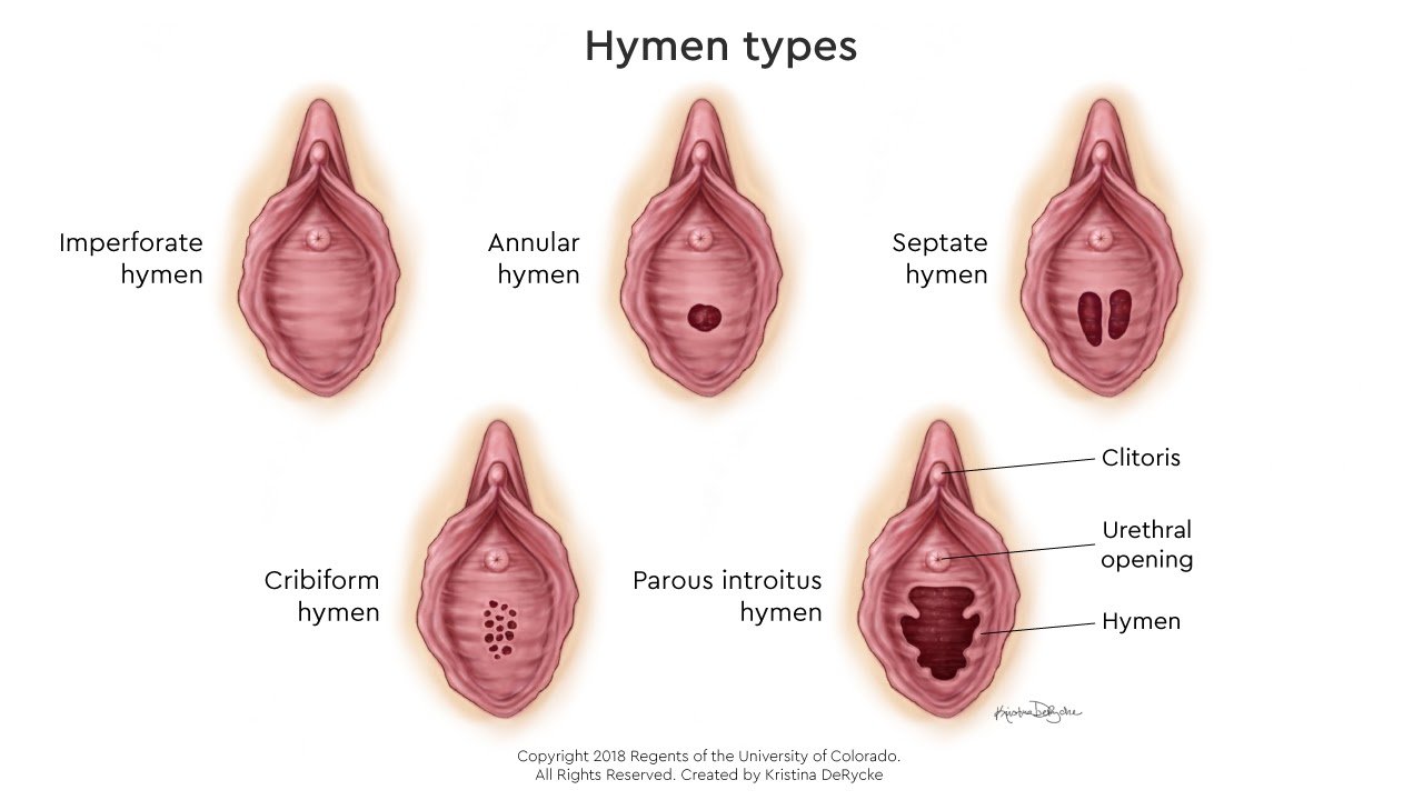Chính giữa màng trinh có một, hai hoặc nhiều lỗ nhỏ để lưu thông máu kinh, tùy cơ thể mỗi phụ nữ khác nhau sẽ có kích thước lỗ khác nhau.
